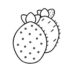 cactus pear icon, cactus pear line art - simple line art of cactus pear, perfect for cactus pear logos and icons