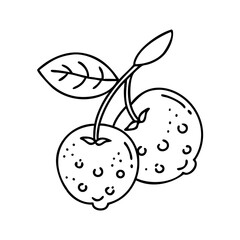 chokeberry fruit icon, chokeberry fruit line art - simple line art of chokeberry fruit, perfect for chokeberry fruit logos and icons