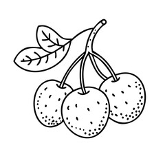 chokeberry fruit icon, chokeberry fruit line art - simple line art of chokeberry fruit, perfect for chokeberry fruit logos and icons