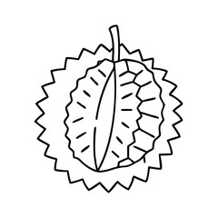 durian fruit icon, durian fruit line art - simple line art of durian fruit, perfect for durian fruit logos and icons