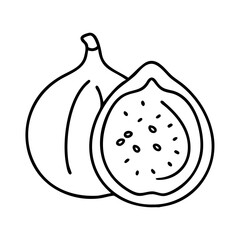 fig fruit icon, fig fruit line art - simple line art of fig fruit, perfect for fig fruit logos and icons