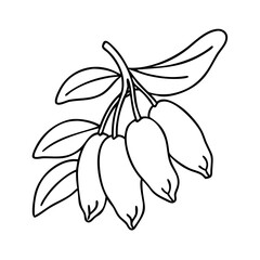 fruit blue honeysuckle icon, fruit blue honeysuckle line art - simple line art of fruit blue honeysuckle, perfect for fruit blue honeysuckle logos and icons