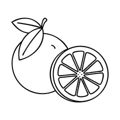 grapefruit icon, grapefruit line art - simple line art of grapefruit, perfect for grapefruit logos and icons