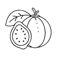 guava icon, guava line art - simple line art of guava, perfect for guava logos and icons