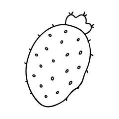 indian fig prickly pear icon, indian fig prickly pear line art - simple line art of indian fig prickly pear, perfect for indian fig prickly pear logos and icons