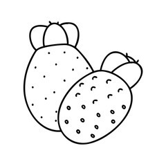 indian fig prickly pear icon, indian fig prickly pear line art - simple line art of indian fig prickly pear, perfect for indian fig prickly pear logos and icons