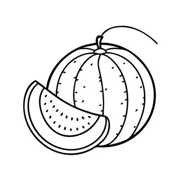 recommend clip art: honeydew melon icon, honeydew melon line art - simple line art of honeydew melon, perfect for honeydew melon logos and icons