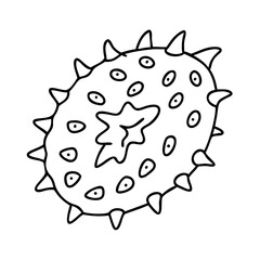 kiwano horned melon icon, kiwano horned melon line art - simple line art of kiwano horned melon, perfect for kiwano horned melon logos and icons