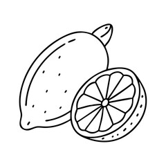 lime icon, lime line art - simple line art of lime, perfect for lime logos and icons