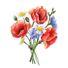 Bouquet with wild flowers in bloom. Poppy, chicory, daisy composition. Floral vintage watercolor illustration isolated on white background. Decoration for poster, greeting card, wedding design