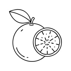 orange icon, orange line art - simple line art of orange, perfect for orange logos and icons