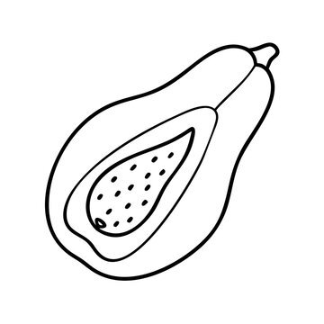 recommend clip art: papaya icon, papaya line art - simple line art of papaya, perfect for papaya logos and icons
