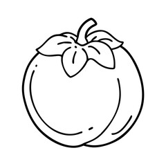 persimmon fruit icon, persimmon fruit line art - simple line art of persimmon fruit, perfect for persimmon fruit logos and icons