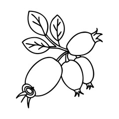 rosehip fruit icon, rosehip fruit line art - simple line art of rosehip fruit, perfect for rosehip fruit logos and icons