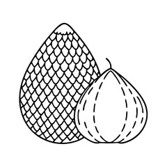 salak snake fruit icon, salak snake fruit line art - simple line art of salak snake fruit, perfect for salak snake fruit logos and icons