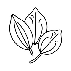 sorrel fruit icon, sorrel fruit line art - simple line art of sorrel fruit, perfect for sorrel fruit logos and icons