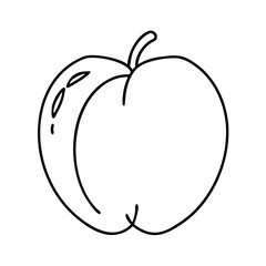 velvet apple icon, velvet apple line art - simple line art of velvet apple, perfect for velvet apple logos and icons
