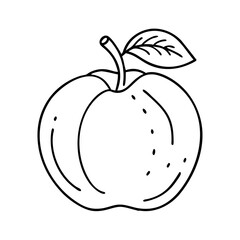 velvet apple icon, velvet apple line art - simple line art of velvet apple, perfect for velvet apple logos and icons