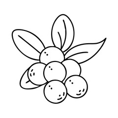 acai berry icon, acai berry line art - simple line art of acai berry, perfect for acai berry logos and icons