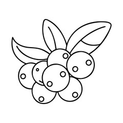 acai berry icon, acai berry line art - simple line art of acai berry, perfect for acai berry logos and icons