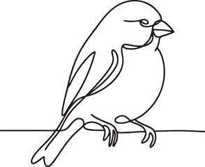 Beautiful Canary Line Art Vector Illustration