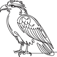 Caracara Bird Vector Line Art