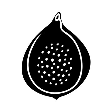 recommend clip art: fig fruit icon, fig fruit line art - simple line art of fig fruit, perfect for fig fruit logos and icons