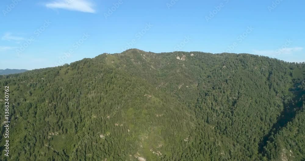Aufkleber mountain with a forest on it. the mountain is green and the sky is blue. there are no clouds in the 