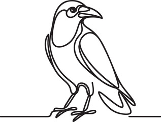 Crow Silhouette Line Drawing in Vector