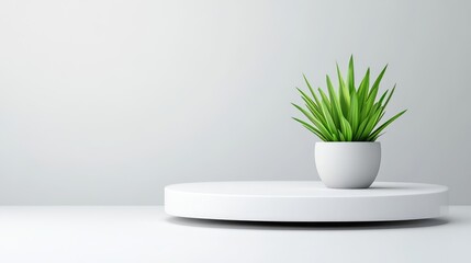 A small potted green plant sitting on a white circular platform, minimalist interior design, clean and modern aesthetic, and light background.
