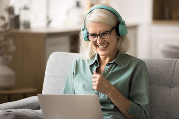 Virtual socialization for seniors. Smiling older lady in earphones communicate online via notebook...