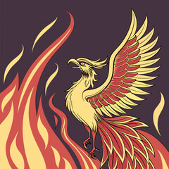 Fototapeta premium vector illustration of an eagle