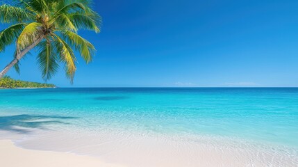 Caribbean Palm lined Caribbean beach with clear blue water and golden sand.