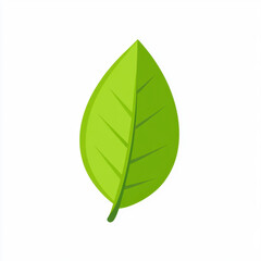Vibrant Green Leaf Illustration