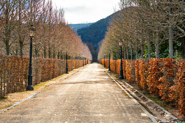 A peaceful, tree-lined path stretches toward the mountains, framed by autumn-coloured hedges and soft, golden light.