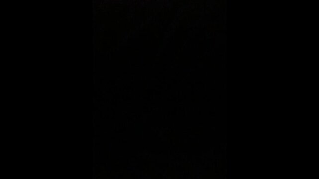 Animated Text Saying "LOADING PLEASE WAIT", Digital Buffering Message, Progress Display Animation