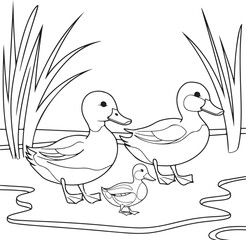 Two duck vector birds, symbols of peace and love, perch on a branch silhouette