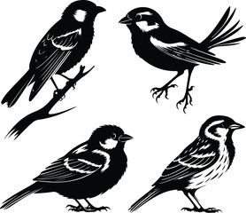 Flying Sparrow Vector | Bird Outline and Wildlife Design Sparrow Silhouette Set | Small Bird and Nature Vector