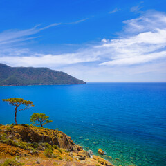 emerald sea bay with mountain near a coast