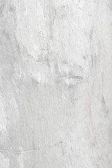 Pattern of dried light grey bark wood. Old gnarl wood texture, big tree surface.Template for design. Abstract nature background. Beautiful pattern.Space for work.Banner.Wallpaper. Vertical.