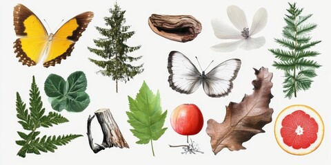 This intricate collage, inspired by nature, showcases butterflies, vibrant leaves, elegant ferns, and fruits, highlighting the stunning beauty of the natural world as delightful design inspiration
