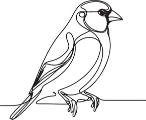 Beautiful Goldfinch Line Drawing in Vector Art