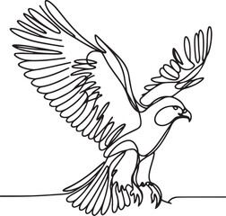Hawk Sketch Vector Art – Detailed Line Drawing