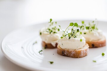 Toasted bread slices with creamy cheese and microgreens served as elegant appetizer on white plate