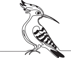 Hoopoe Bird Vector Drawing – Black and White Line Art