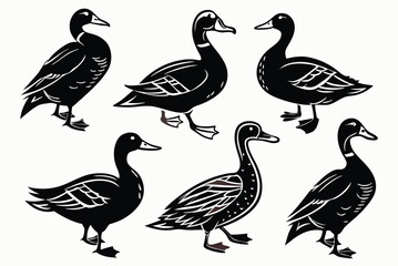 Duck. Vintage woodcut style vector illustration