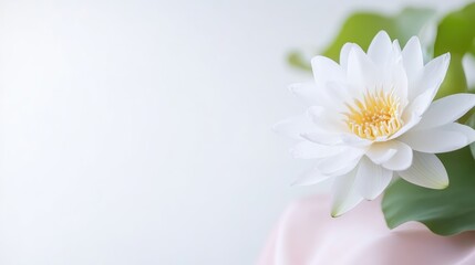 Obraz premium White Water Lily with Pad Soft Minimalist Style High-Resolution Soft Focus Horizontal Close-Up View Delicate Petals Displaying Serenity Neutral Background Pastel Calm Mood Ideal for Spa Branding