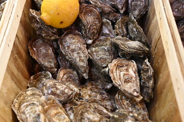 Fresh oysters with lemon at a French seafood market. Traditional coastal delicacy and symbol of gourmet cuisine from the Atlantic coast of France.