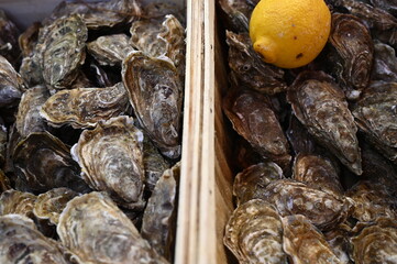 Fresh oysters displayed in a wooden crate with a bright yellow lemon on top. Close-up seafood market scene showcasing natural textures, shell details, and culinary ingredients.