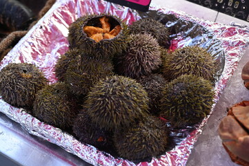 Fresh sea urchins displayed on a silver tray at a seafood market. Authentic Mediterranean delicacy symbolizing premium gastronomy and coastal lifestyle. Perfect for restaurants, seafood brands, travel